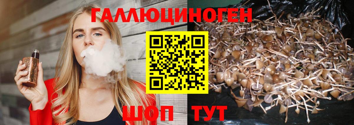 Псилоцибиновые грибы Cubensis  Галлюциногенные грибы мухоморы  Елец  Вход с VPN 
