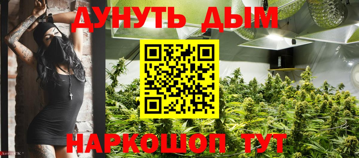 Марихуана план  Вход с VPN  Марихуана White Widow  Елец  Канабис SATIVA & INDICA 